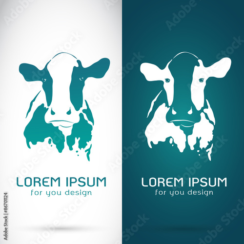 Vector image of an cow on white background and blue background,