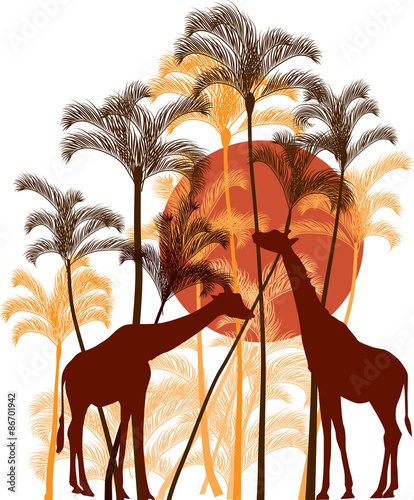 Canvas Print giraffes near palm trees tree isolated on white