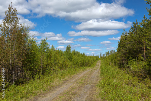 ground road and summer sunny day