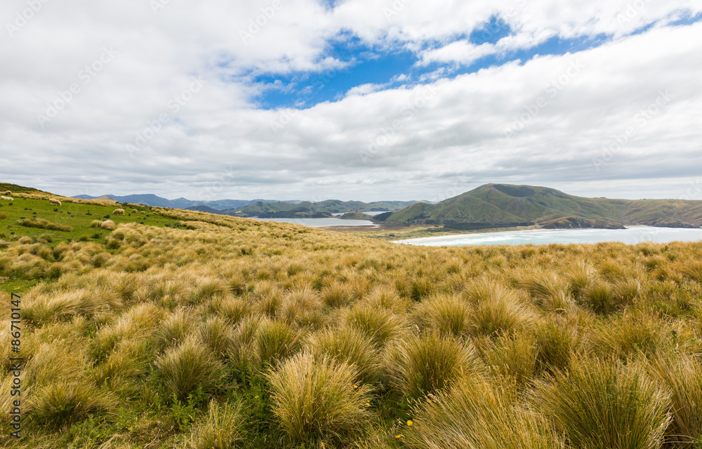 Coastal view from top of the mouintain. New Zealand, Otago Penin
