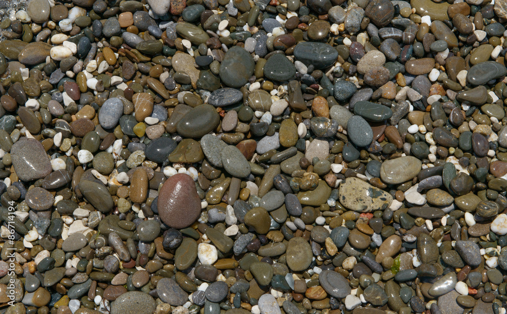 Close-up view of wet multicolored pebble as background. Close-up view of wet multicolored pebble as background.