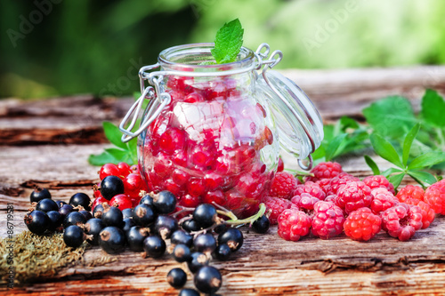 Beeren einkochen photo