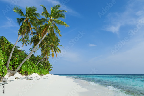Tropical beach with coconut palms, Maldives Island, Indian Ocean