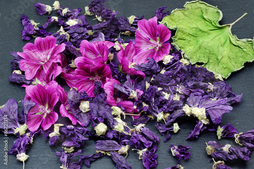 Fresh and dried mallow (Mallow Silvestrys) flower, dried leaf. Blackboard background.