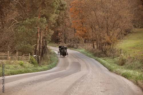 Amish buggy coming down country road in Ohio