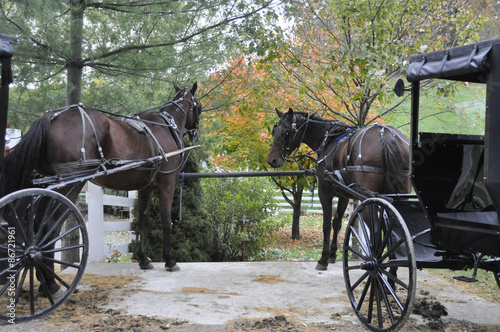 Horses and carriages tied to fence in Amish Country Ohio