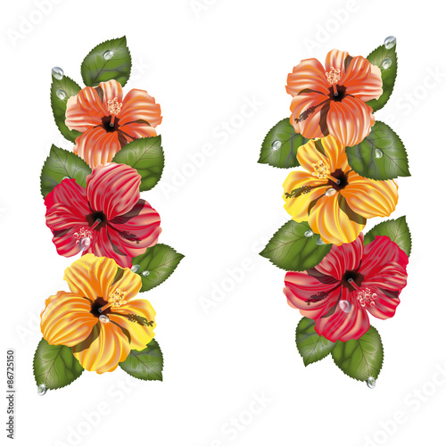 Hibiscus decorazione n.2