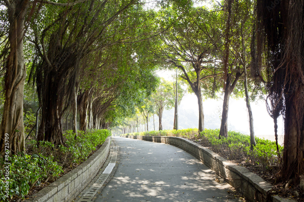 path through the park