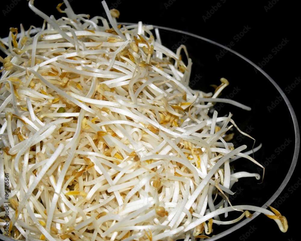 Fresh washed organic Bean Sprouts in non stick skillet ready for cooking
