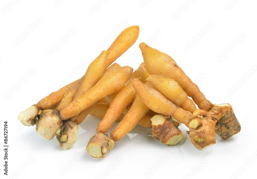 Fingerroot, Kaempfer, Boesenbergia on white background Fingerroot, Kaempfer, Boesenbergia on white background