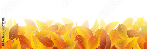 Seamless pattern with fallen autumn leaves