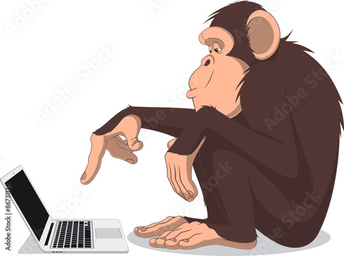 Monkey and computer