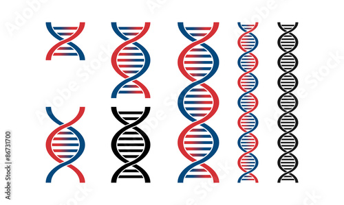 Helix DNA Vector Illustration Set