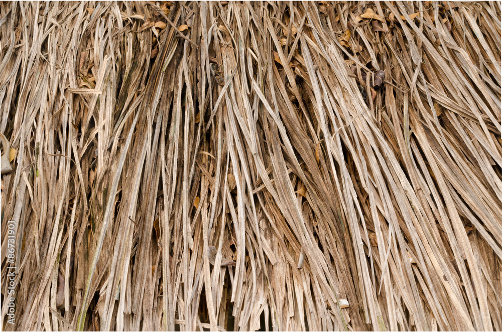 Close up thatch roof background, hay or dry grass background. Close up thatch roof background, hay or dry grass background.