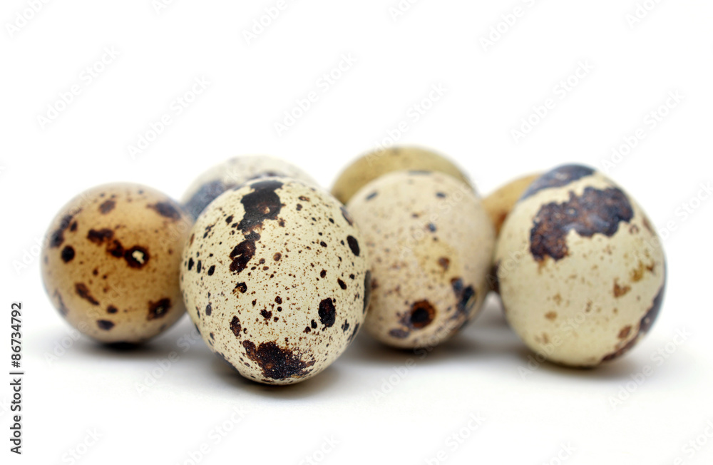 Quail eggs on isolated background Quail eggs on isolated background