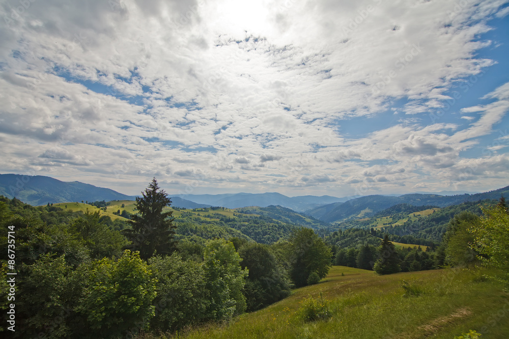 Obraz premium Background carpathian hills