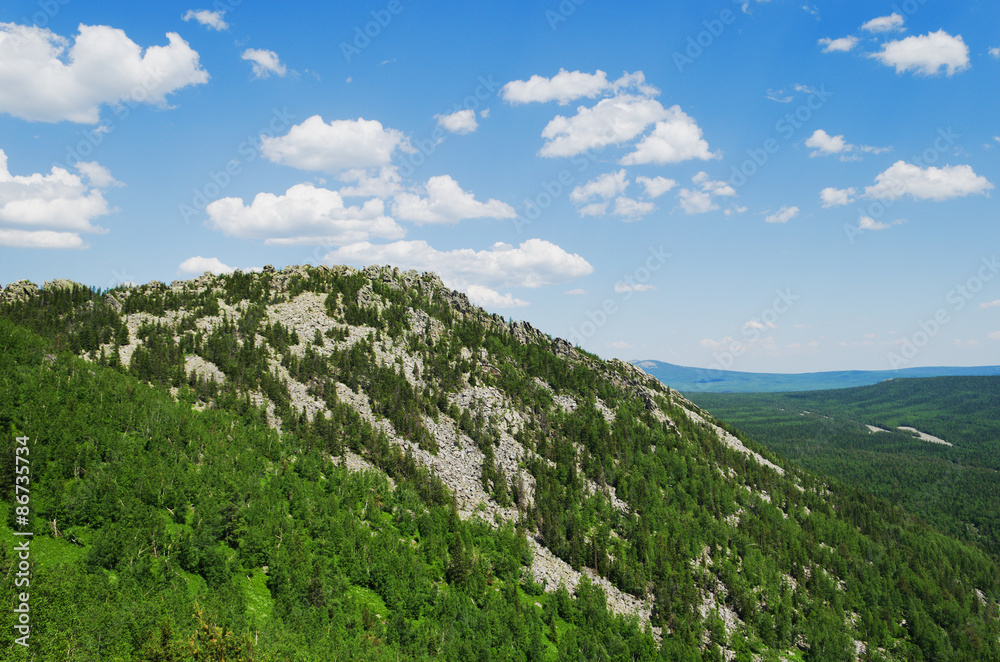 Naklejka premium national park 