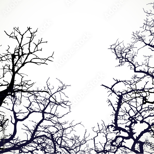 Background with silhouettes of bare branches of trees