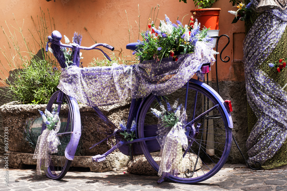bicicletta vintage viola