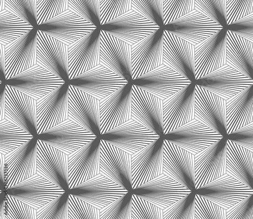 Monochrome gradually striped black three ray stars © Zebra Finch