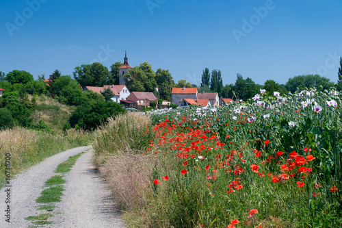 Rural road to beautiful Czech village through poppy field