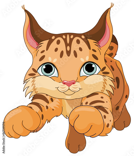 Lynx