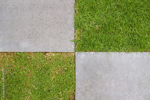 green field background in texture concrete