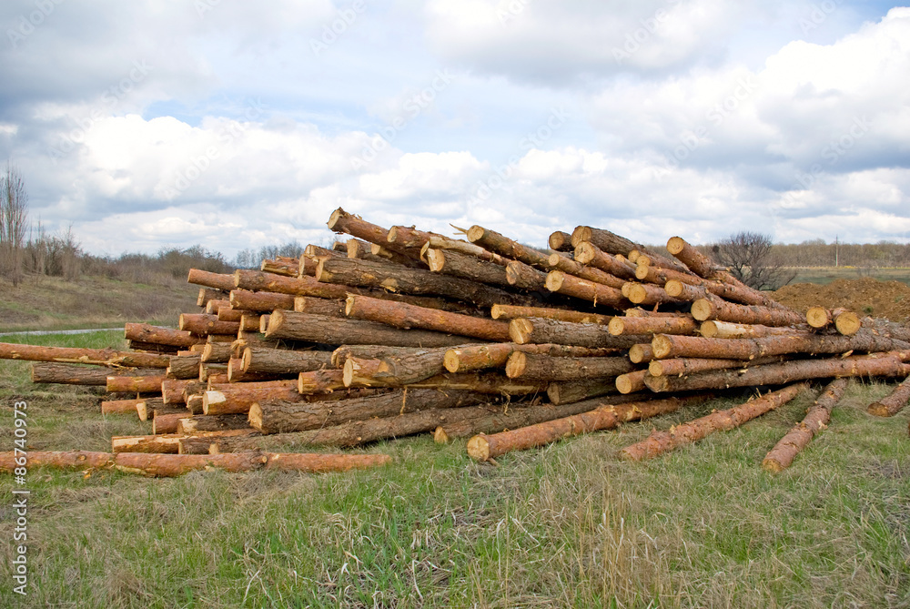 many firewood in the village closeup many firewood in the village closeup
