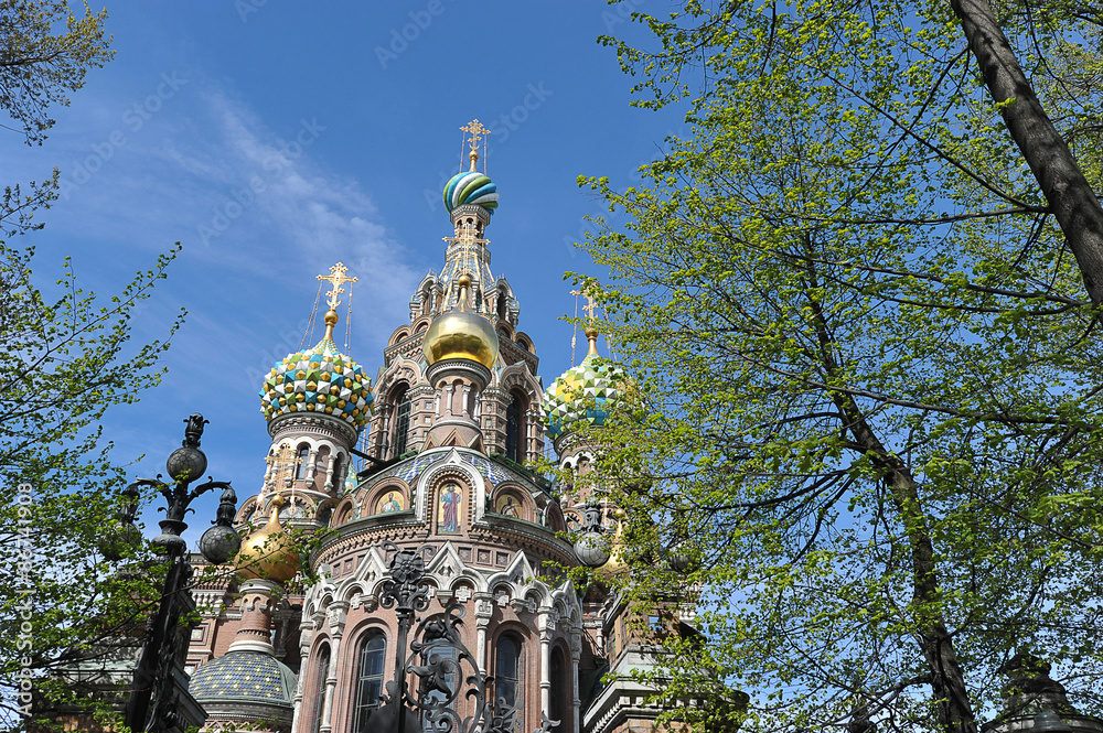 domes of Orthodox Church of the Savior on blood in St. Petersbur