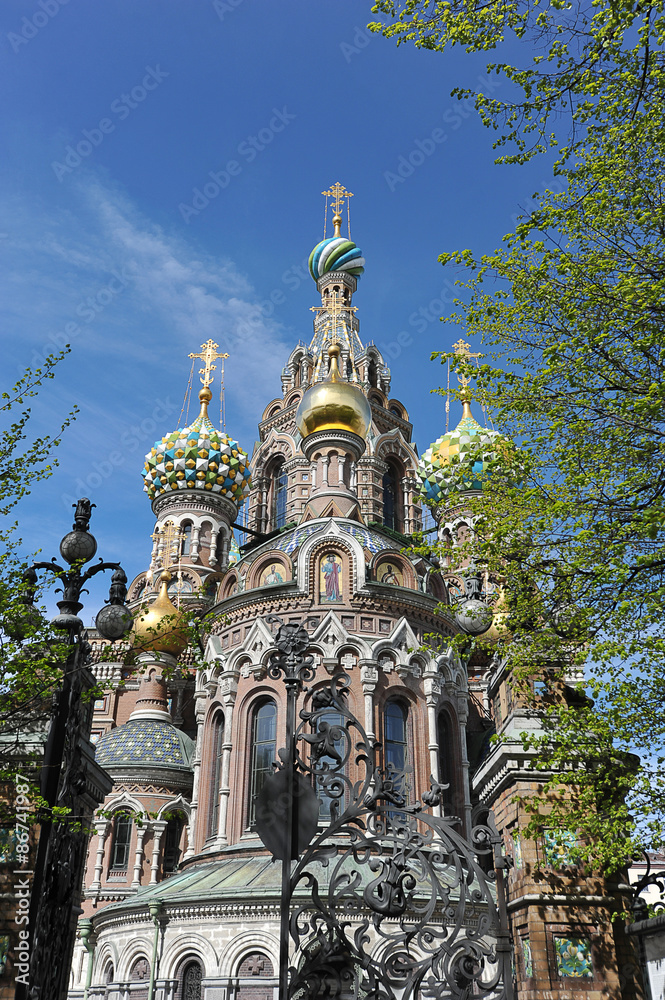 domes of Orthodox Church of the Savior on blood in St. Petersbur