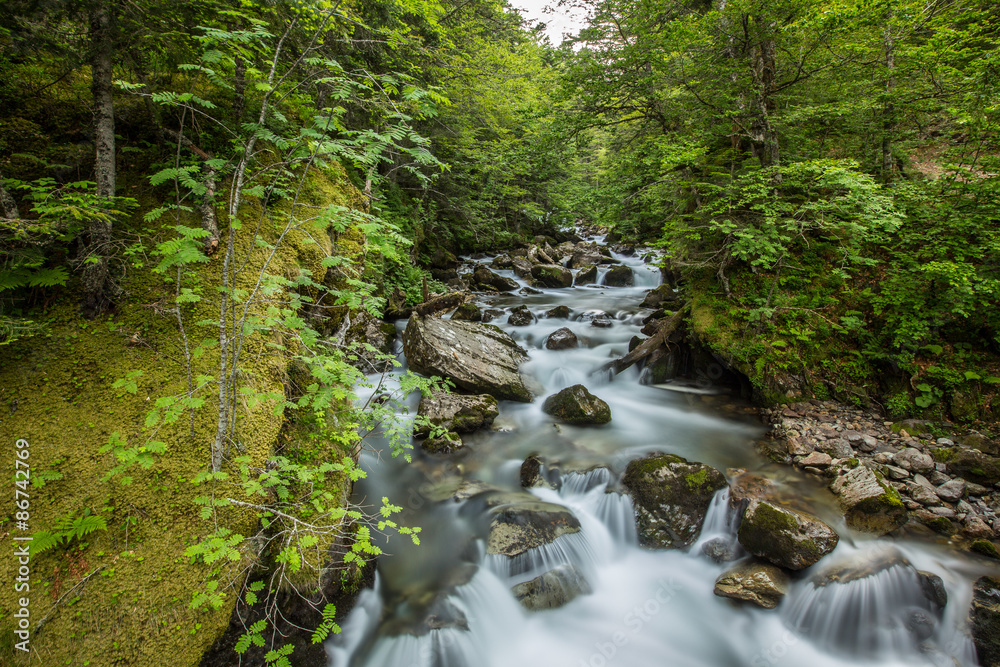 torrent des Pyrénées