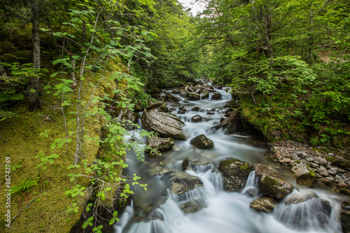 torrent des Pyrénées