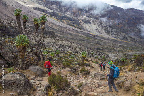 Foto trekking am kilimanjaro