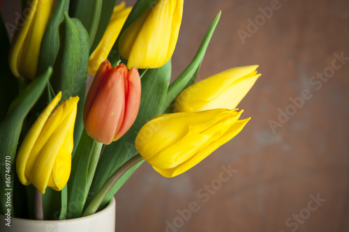 Single red tulip in vase of yellow tulips
