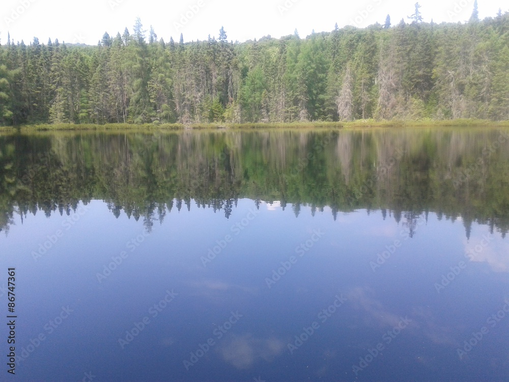 Fototapeta premium Reflet sur le Lac-aux-Atocas