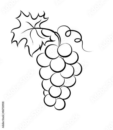 Vector monochrome illustration of grapes logo.