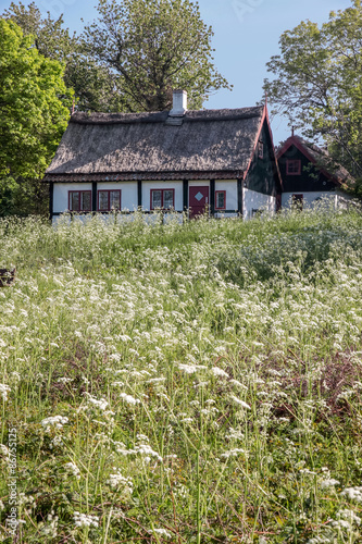 Reetdachhaus  mit Frühlingswiese