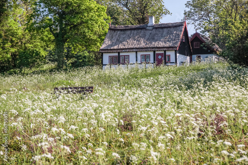 Idyllisches Ferienhaus mit Frühlingswiese