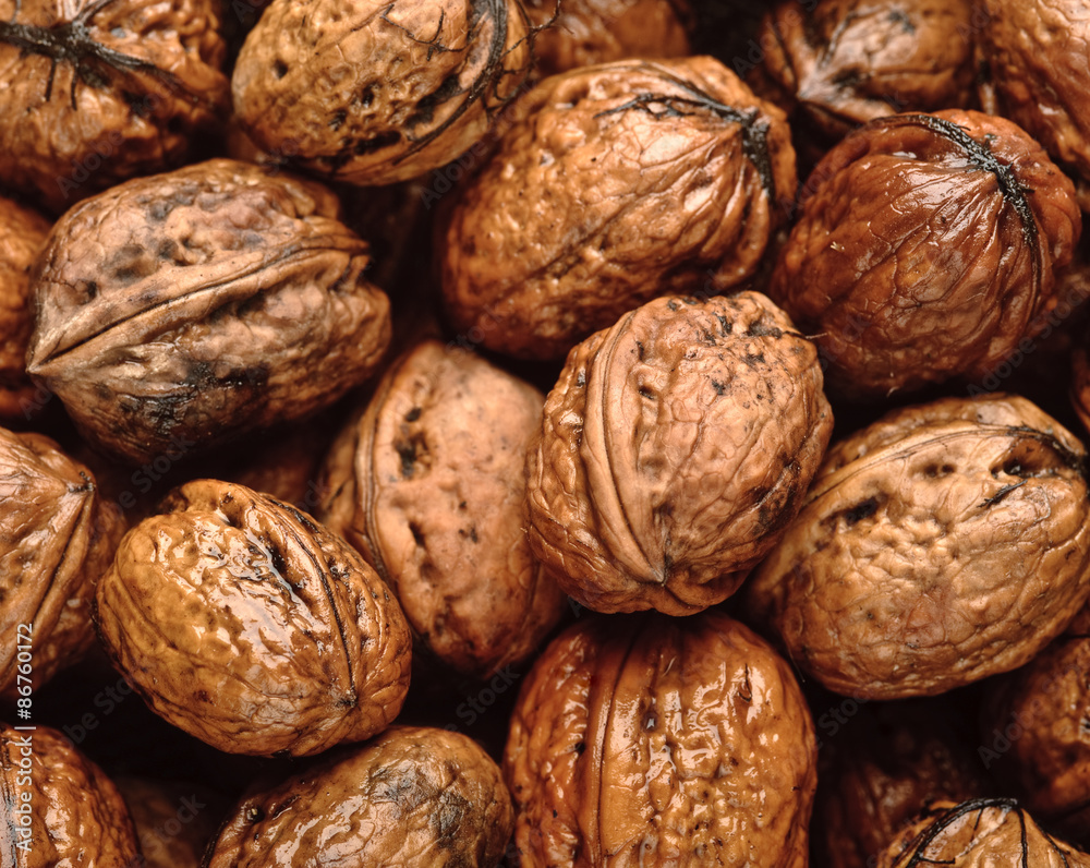 background of wet walnuts
