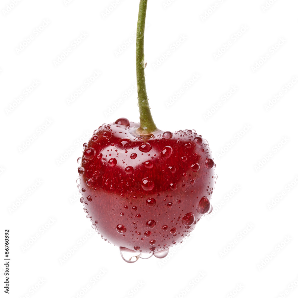 isolated closeup cherry StockFoto Adobe Stock