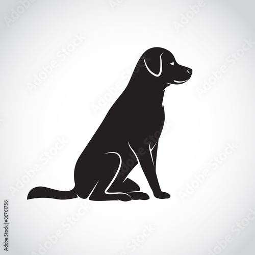 Vector of a dog labrador on white background. Pets. Animals.