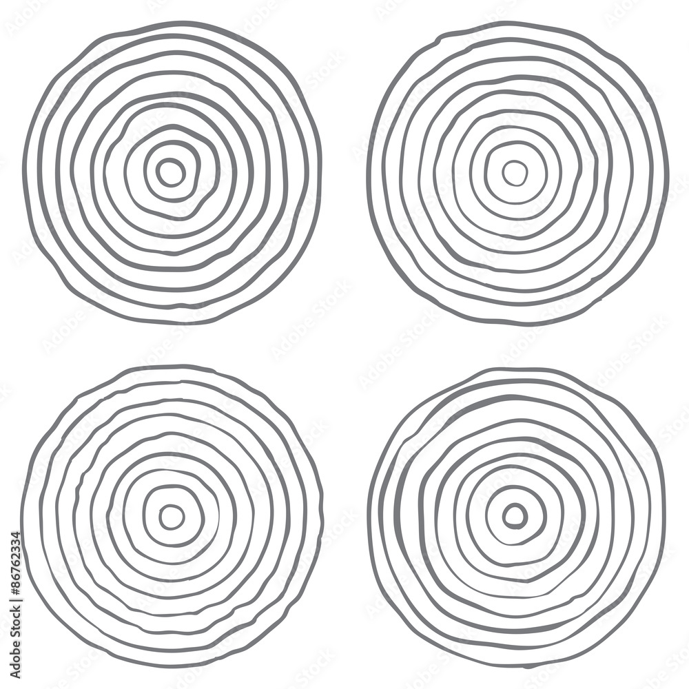 Cross section of tree trunk set isolated on white background. Wood Cross section of tree trunk set isolated on white background. Wood