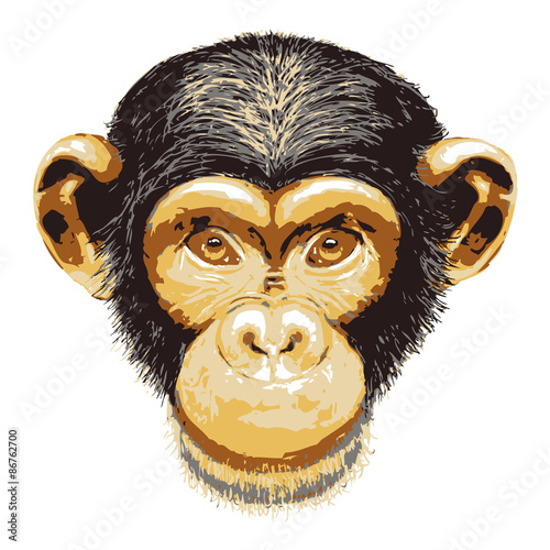 Grunge Sketch of chimpanzee head Vector illustration