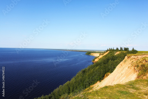 Wallpaper Mural forest landscape in summer europe pine Torontodigital.ca