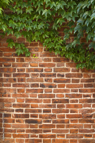                          Brick wall  background