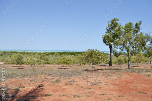 Australia mare Broome photo