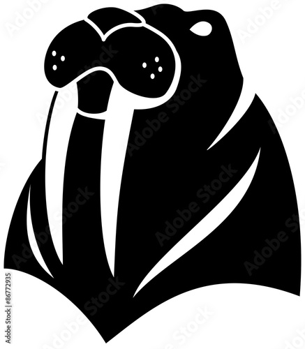 warlus illustration