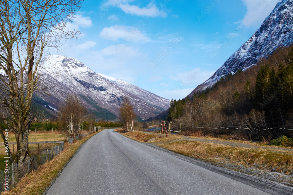 Fototapeta premium road in norway
