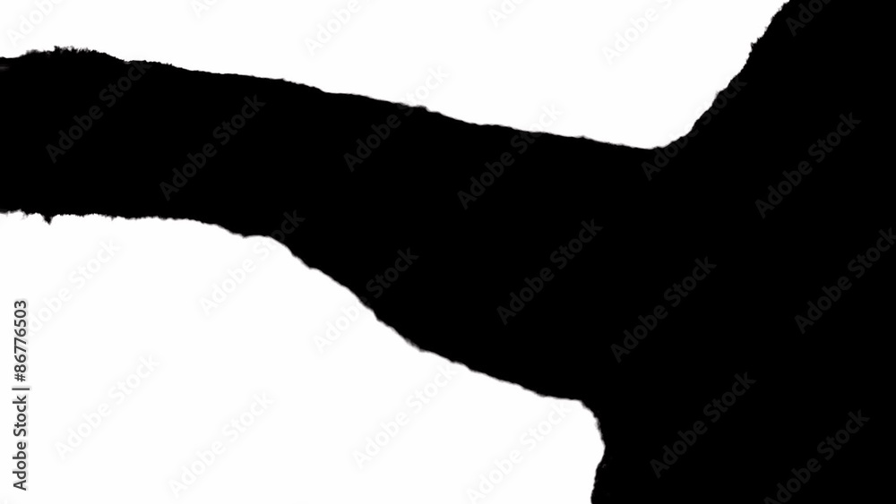 Ink drop on white background Ink drop on white background