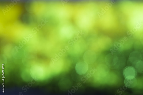 Abstract green natural bokeh background